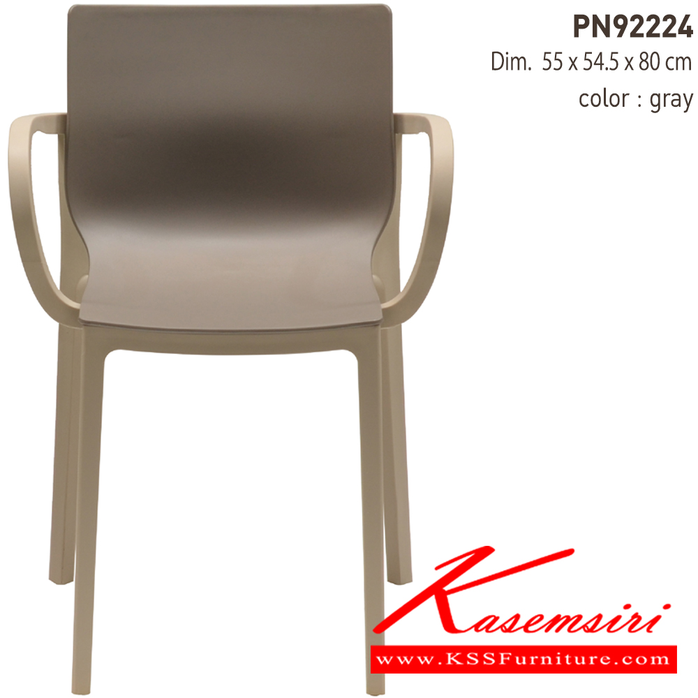 38011::PN92224::เก้าอี้พลาสติกสไตล์โมเดิร์น ใช้งานได้ทั้ง indoor และ outdoor น้ำหนักเบา สะดวกในการเคลื่อนย้าย ทำความสะอาดง่าย ไพรโอเนีย เก้าอี้แฟชั่น