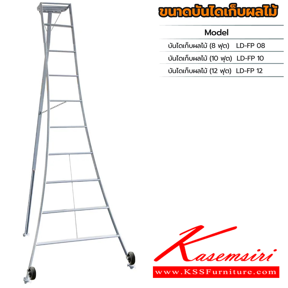 31074::LD-FP(บันไดเก็บผลไม้)::บันไดเหล็ก เก็บผลไม้ LD-FP08(บันไดเก็บผลไม้8ฟุต),LD-FP10(บันไดเก็บผลไม้10ฟุต),LD-FP12(บันไดเก็บผลไม้12ฟุต) ผลิตจากเหล็กคุณภาพดี มีโซ่ช่วยยึดปลอดภัย รองรับน้ำหนัก 150 Kg. พื้นรองขารูปทรงตีนเหยี่ยวและมีล้อ ขาส่วนด้านหลังปรับซ้ายหรือขวาได้ รับประกัน1ปี