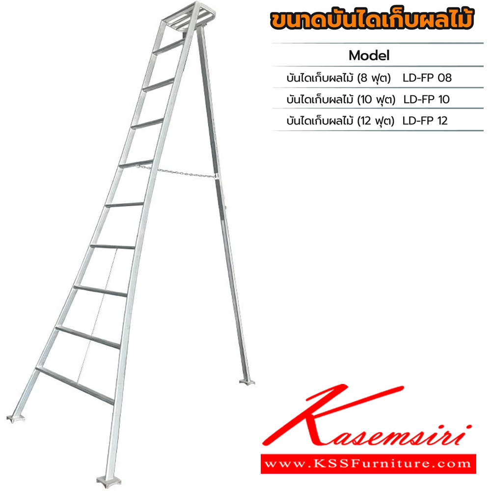 31074::LD-FP(บันไดเก็บผลไม้)::บันไดเหล็ก เก็บผลไม้ LD-FP08(บันไดเก็บผลไม้8ฟุต),LD-FP10(บันไดเก็บผลไม้10ฟุต),LD-FP12(บันไดเก็บผลไม้12ฟุต) ผลิตจากเหล็กคุณภาพดี มีโซ่ช่วยยึดปลอดภัย รองรับน้ำหนัก 150 Kg. พื้นรองขารูปทรงตีนเหยี่ยวและมีล้อ ขาส่วนด้านหลังปรับซ้ายหรือขวาได้ รับประกัน1ปี