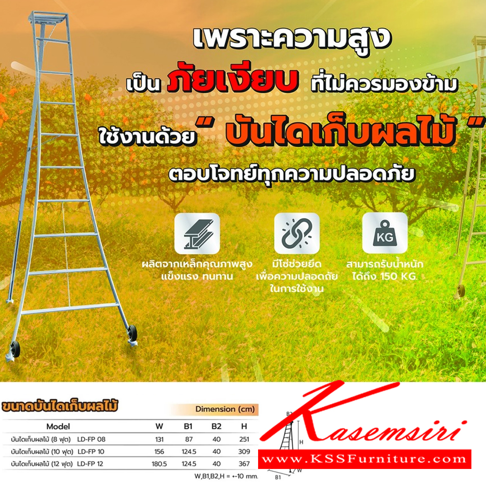 31074::LD-FP(บันไดเก็บผลไม้)::บันไดเหล็ก เก็บผลไม้ LD-FP08(บันไดเก็บผลไม้8ฟุต),LD-FP10(บันไดเก็บผลไม้10ฟุต),LD-FP12(บันไดเก็บผลไม้12ฟุต) ผลิตจากเหล็กคุณภาพดี มีโซ่ช่วยยึดปลอดภัย รองรับน้ำหนัก 150 Kg. พื้นรองขารูปทรงตีนเหยี่ยวและมีล้อ ขาส่วนด้านหลังปรับซ้ายหรือขวาได้ รับประกัน1ปี