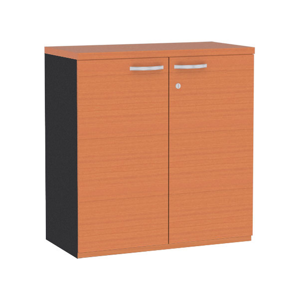 10013::SCL-810::A Sure cabinet with double swing doors. Dimension (WxDxH) cm : 80x40x84