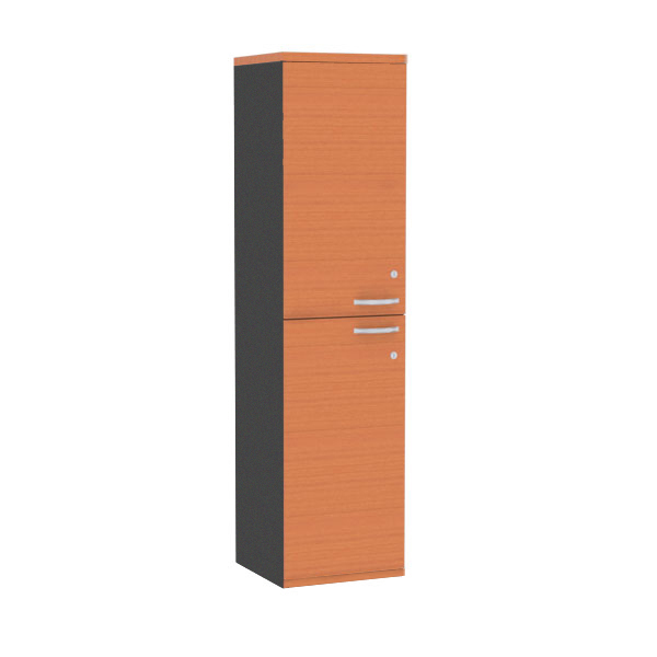 62080::SCM-411::A Sure cabinet with upper swing door and lower swing door. Dimension (WxDxH) cm : 40x40x160