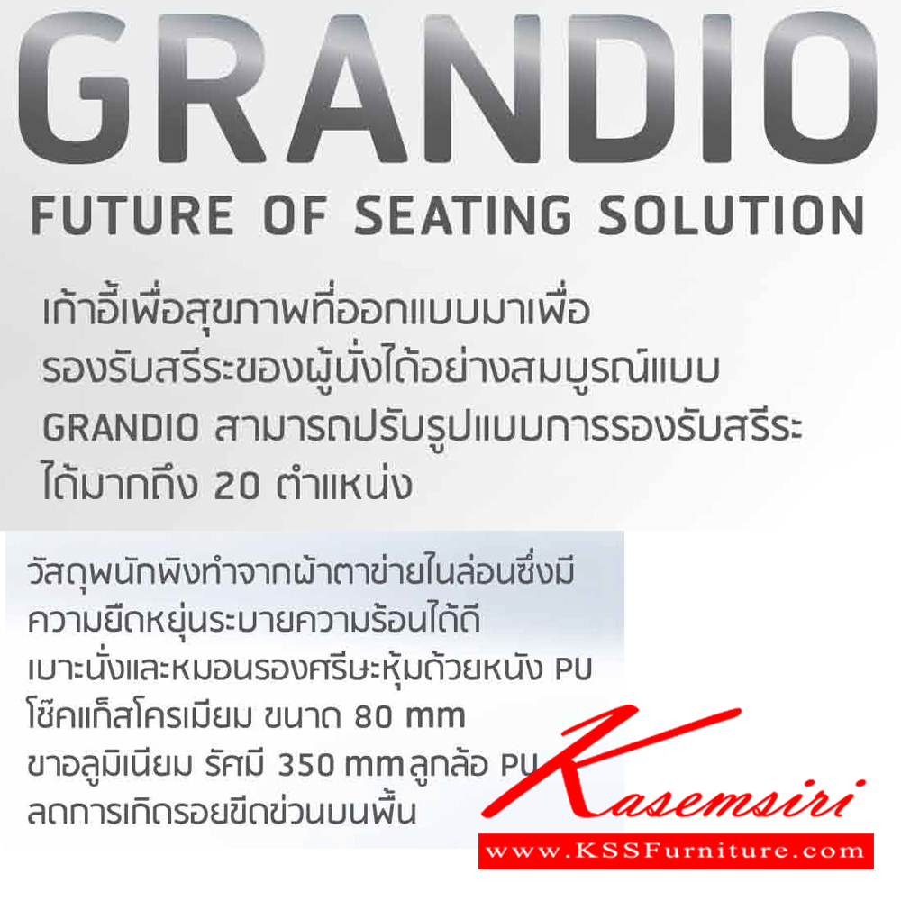 42014::PL-128::A Sure executive chair with gas-lift adjustable base. Dimension (WxDxH) cm : 66x69x119-134. Available in Black-Grey SURE Executive Chairs