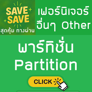 SAVE-SAVE สุดคุ้มทางผ่าน พาร์ทิชั่น Partition