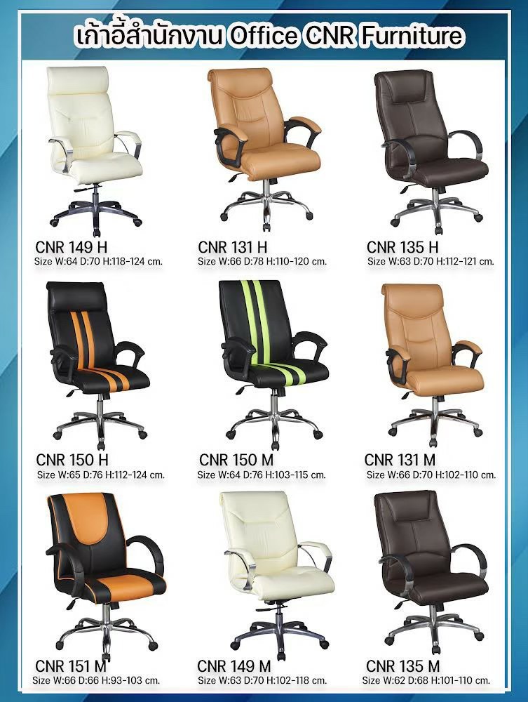 CNR-CHAIR65 หน้า 5