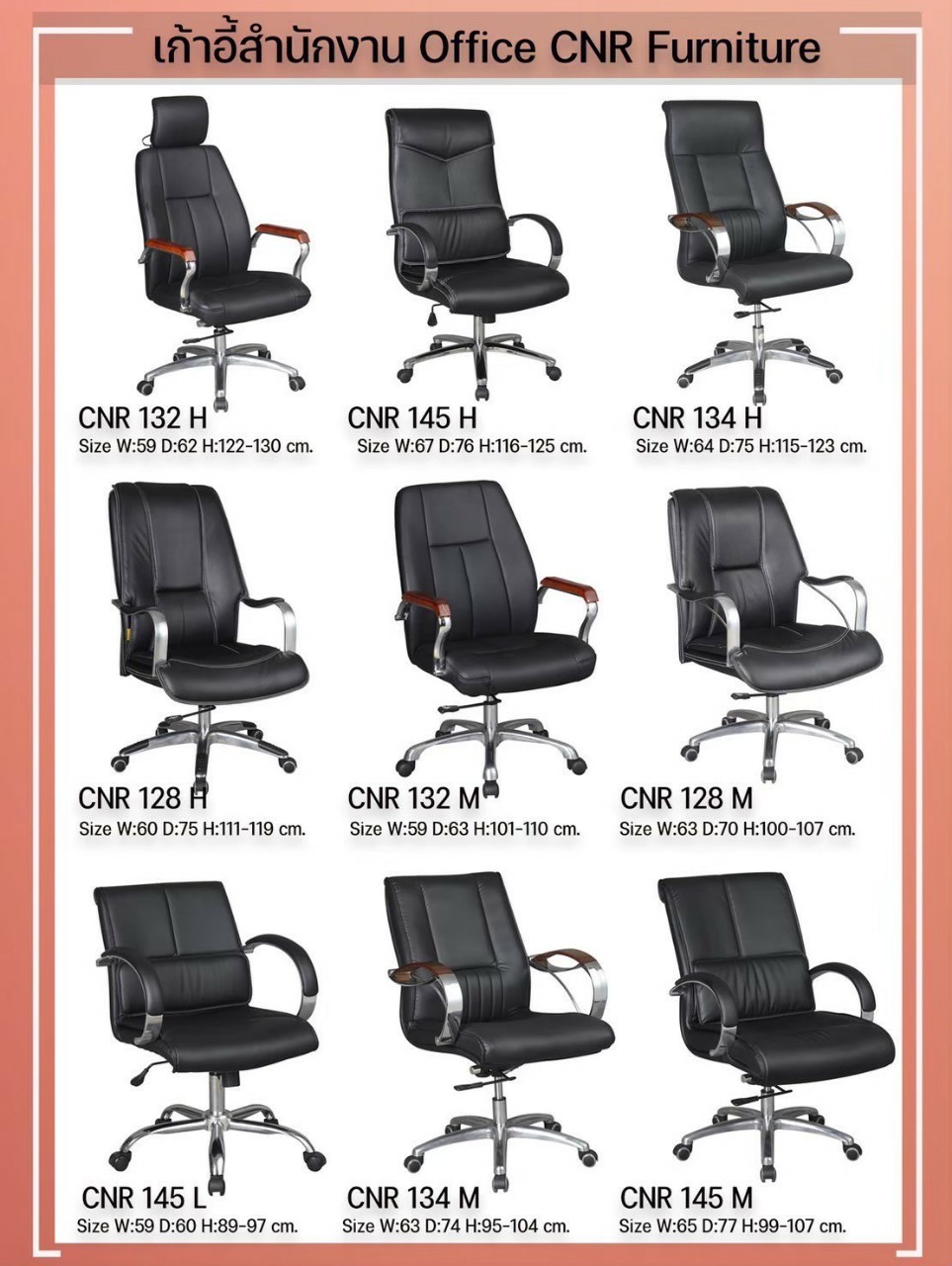 CNR-CHAIR65 หน้า 10