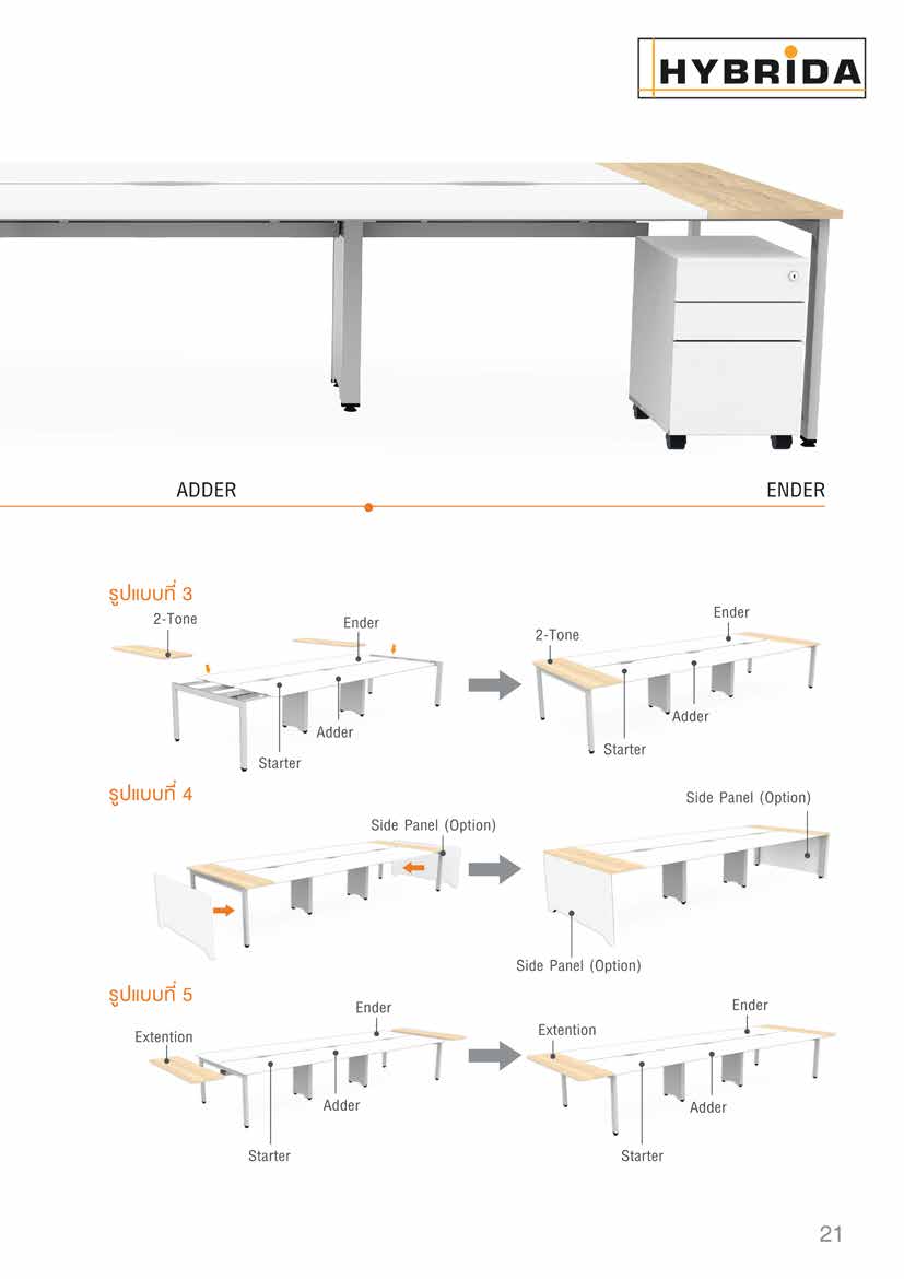 HYBRIDA 21 หน้า 20